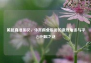 英超直播版权，体育商业版图的激烈角逐与平台归属之谜
