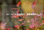 2019 - 2021 NBA数据统计，洞察赛季风云