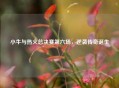 小牛与热火总决赛第六场，逆袭传奇诞生