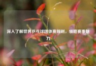 深入了解世界乒乓球团体赛规则，领略赛事魅力