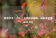 绝地求生（PUBG）无限崩溃报错，玩家噩梦及破局之法