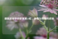 德国足球甲级联赛第23轮，***与荣耀的战场