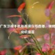 畅享广东卫视手机版     直播，领略多彩视听盛宴