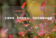 王者体育，在线观看NBA，开启热血篮球盛宴