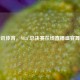 腾讯体育，NBA 总决赛在线直播盛宴舞台