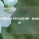 热火队最新球员名单及阵容分析，最新消息揭秘