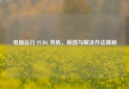 电脑运行 PUBG 死机，原因与解决办法揭秘