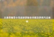 王者荣耀李小龙皮肤获取全攻略及获得     视频