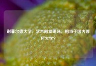 谢菲尔德大学，学术殿堂明珠，相当于国内哪所大学？