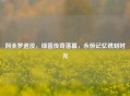 阿圭罗退役，绿茵传奇落幕，永恒记忆镌刻时光