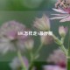 LOL怎样走A最舒服