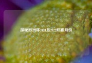 探秘欧洲杯2021及2022开赛月份