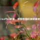 CSGO与DJ歌曲，     碰撞的视听盛宴