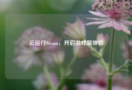 云运行Steam，开启游戏新体验