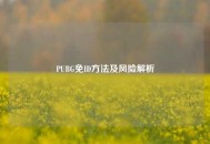PUBG免ID方法及风险解析