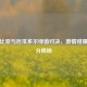哥伦比亚与厄瓜多尔绿茵对决，     碰撞与比分揭秘