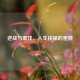逆战与蜜饯，人生抉择的差异