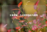 王者荣耀，几小时的快乐与思考