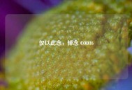 仅以此念，悼念 COD16