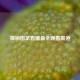 揭秘国足直播最全观看渠道