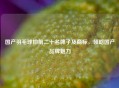 国产羽毛球拍前二十名牌子及商标，领略国产品牌魅力