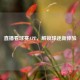 直播看球赛APP，解锁球迷新体验