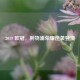 2019 欧冠，利物浦荣耀逆袭登顶