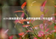 CCTV5现场直播足球，点燃球迷***，可在线观看