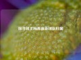 探寻球王梅西最新球队归属