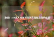 激战！NBA湖人对阵马刺体育直播及回放盛宴