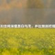 石川佳纯深情表白马龙，乒坛现别样情愫