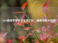 2010南非世界杯亚军荷兰队，遗憾与荣光并存