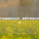国际女排最新排名出炉，洞察世界排坛风云变幻