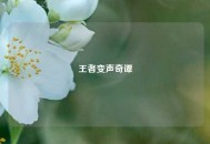 王者变声奇谭
