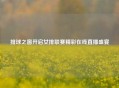 排球之窗开启女排联赛精彩在线直播盛宴