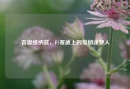 吉奥维纳兹，F1赛道上的坚韧逐梦人