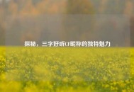 探秘，三字好听CF昵称的独特魅力