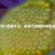 探寻F1直播平台，速度与     的观看窗口