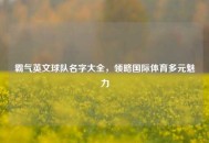 霸气英文球队名字大全，领略国际体育多元魅力