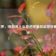 传奇C罗，绿茵场上头球进球数见证空中霸主风采