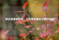 奥运直播赛程表，开启精彩奥运之旅的钥匙