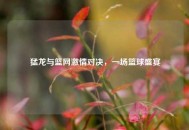 猛龙与篮网***对决，一场篮球盛宴