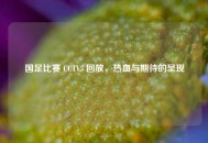 国足比赛 CCTV5 回放，热血与期待的呈现