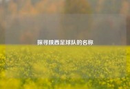 探寻陕西足球队的名称