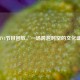 CCTV4节目回放，一场跨越时空的文化盛宴