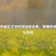 中国历届女子羽毛球冠军名单，荣耀传承的羽坛传奇