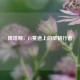 博塔斯，F1赛道上的坚韧行者