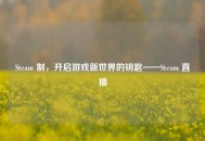 Steam 制，开启游戏新世界的钥匙——Steam 直播