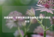 深度剖析，世界杯预选赛中国阵容实力与挑战并存