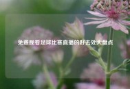 免费观看足球比赛直播的好去处大盘点